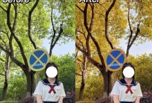 美图秀秀T8（完美美颜，畅享摄影乐趣，让你成为自己的摄影大师）