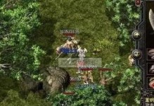 深入了解dism命令（掌握dism命令，轻松管理Win10系统更新与修复）