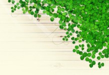 如何调整电脑桌面壁纸尺寸（简易教程及关键技巧）