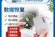 电脑硬盘坏了怎么恢复（教你快速恢复坏掉的电脑硬盘）