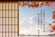 松下电水瓶（智能加热，安全可靠，为您提供温暖舒适的饮用体验）