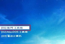 苹果电脑使用微PE安装系统教程（详细教你如何使用微PE在苹果电脑上安装系统）