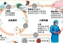 禽流感的传播途径和预防措施（揭开禽流感传播的奥秘，保护自己和他人的健康）