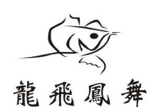 昆山龙飞光电（探索光电技术前沿，引领产业发展潮流）