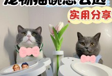 如何选择适合猫咪的饭盆（考虑猫咪需求和材料，选择最佳猫碗）