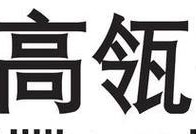 宁波顺合数码的发展与创新（数字化时代的领先者）